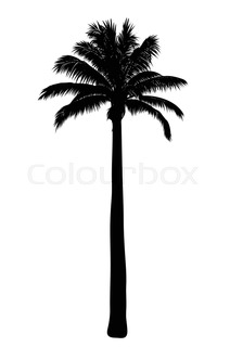 212x320 Palm Tree Black Silhouette Isolated Over White Background Stock
