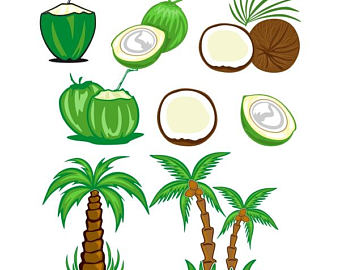 340x270 Palm Tree Svg Etsy