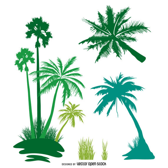 570x570 Palm Trees Isolated Silhouette Set