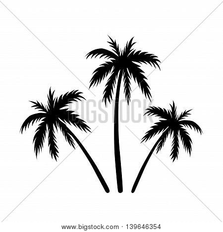 450x470 Three Palms Sketch. Black Coconut Vector Amp Photo Bigstock