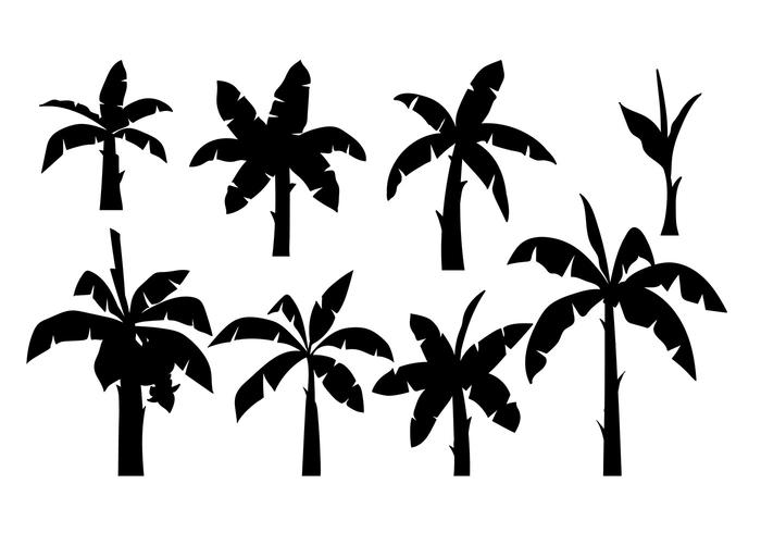 700x490 Free Vector Tree Illustration