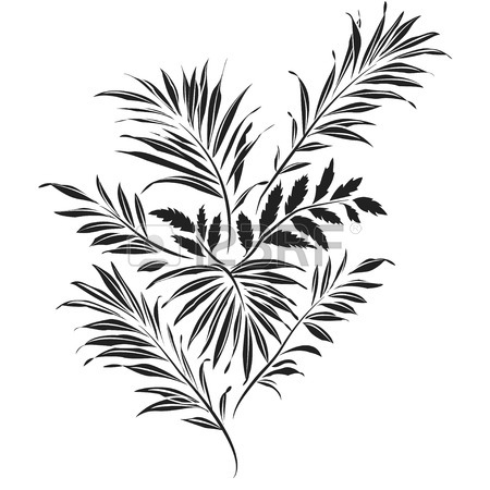 450x450 Palm Leaves. Black Silhouette On White Background Royalty Free