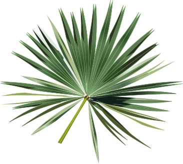 Palms Clipart