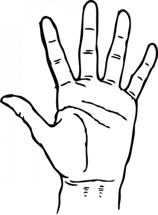 312x425 Hand Palm Facing Out Clip Art Vector Clip Art Free Vector Free