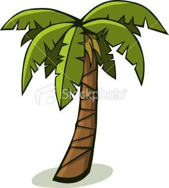 342x380 Top 10 Palm Trees Cartoon
