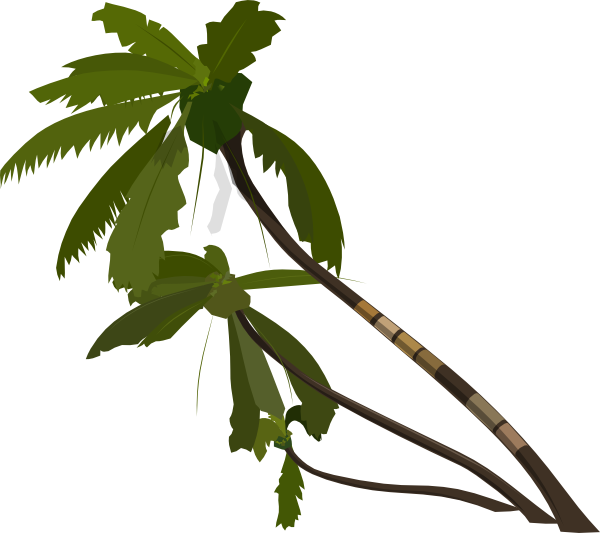 600x533 Vector Palm Trees Clip Art