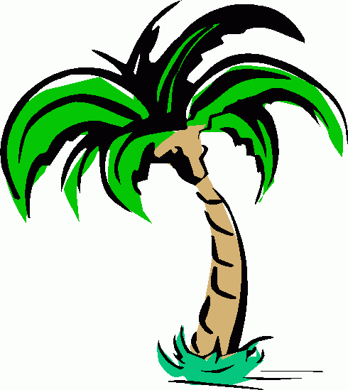 490x549 Palm Tree Trimming Clip Art Cliparts