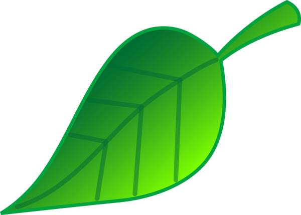 600x429 Leaf Clipart Pan