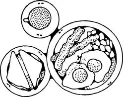 248x195 Free Black And White Breakfast Clipart