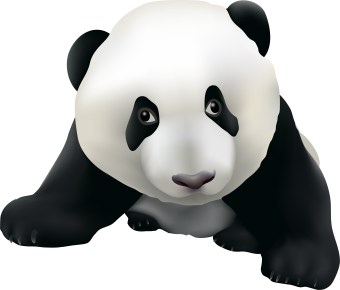 340x290 Panda Bear Clip Art Clipart Panda