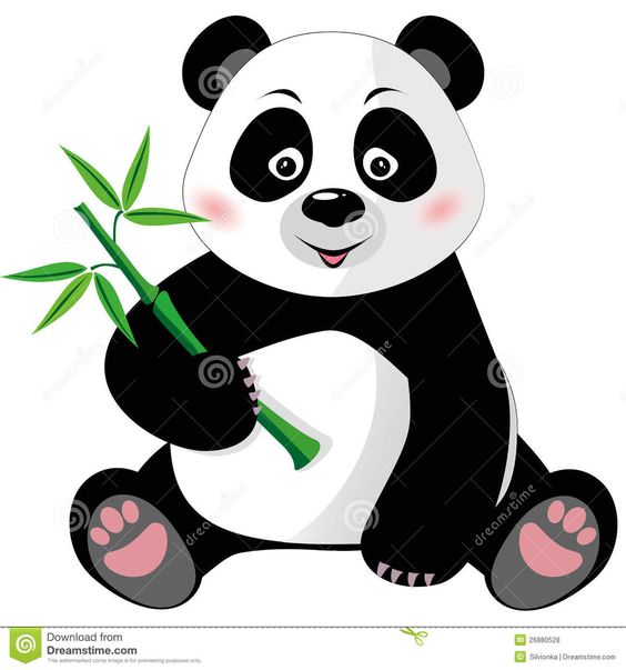 564x603 Panda Bear Clipart