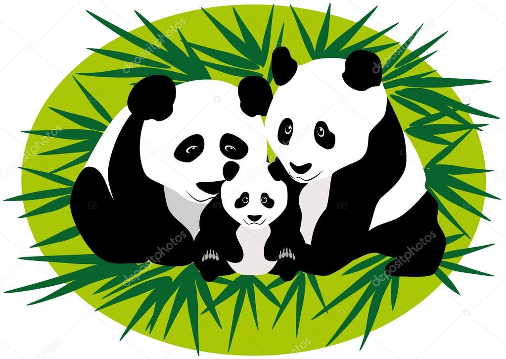 1023x725 Family Panda Bears Stock Vector Valentinash