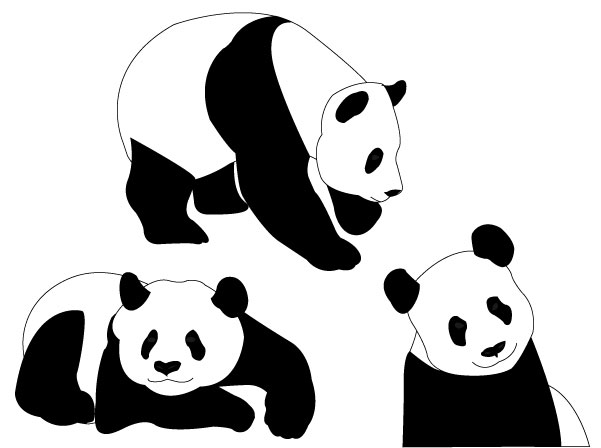 601x448 Graphics For Panda Bear Graphics