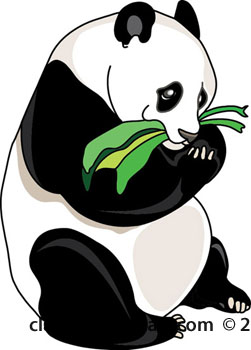 251x350 Panda Eating Bamboo Clipart 2