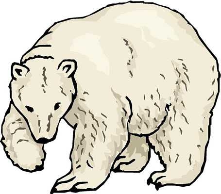 455x400 Polar Bear Clip Art Black And White Clipart Panda