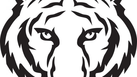 570x320 Tiger Face Drawing Tiger Face Clip Art Black And White Clipart