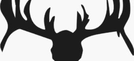 272x125 Deer Skull Clipart Clipart Panda