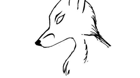 570x320 Outline Drawing Of A Fox Fox Head Outline Clipart Panda