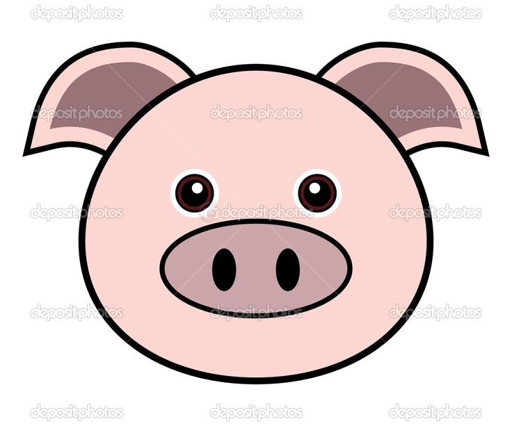 736x613 44 Best Pigs Images Piglets, Baby Pig And Board Ideas