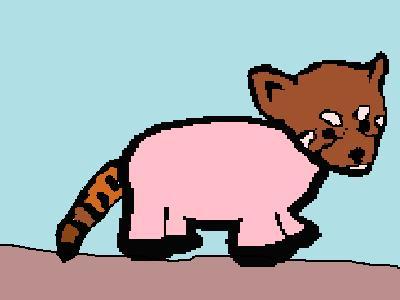 400x300 Red Pigda (Red Panda + Pig) Information For Kids