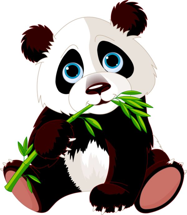 Pandas Cartoons Pictures | Free download on ClipArtMag