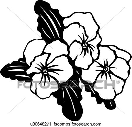 450x435 Clipart Of , Flower, Pansies, Pansy, Varieties, U30648271