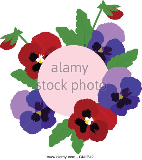 478x540 Pansies Stock Vector Images