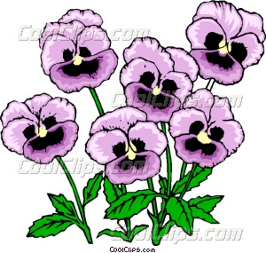 300x285 Pansies Vector Clip Art