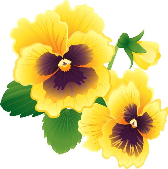 583x584 1101 Best Clipart Images Clip Art, Draw