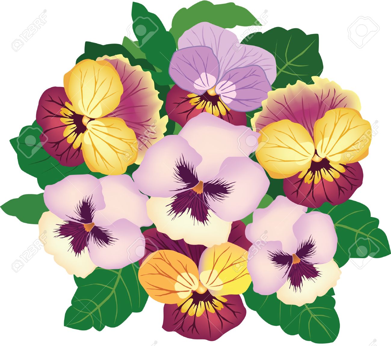 1300x1150 Pansy Clipart Viola Flower