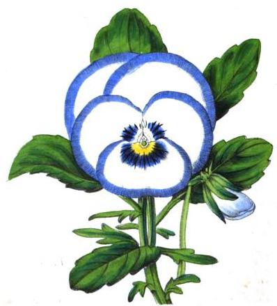 398x440 Untitled Document