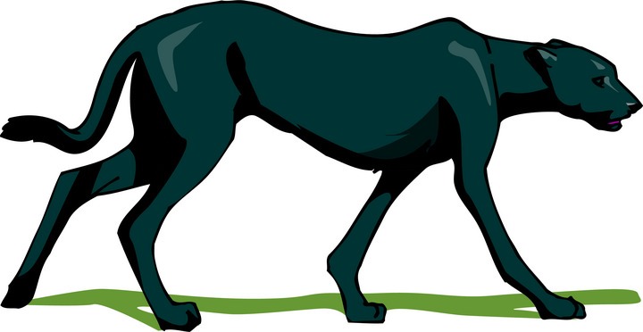 720x372 Panther Clipart Panther Clipart Fans 3