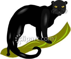 300x249 Panther With Yellow Eyes