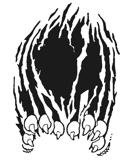 537x690 Panther Clipart Tiger Claw