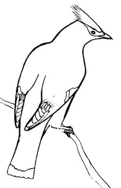 236x367 Step By Step Panther Face Drawing Drawing And Crafts