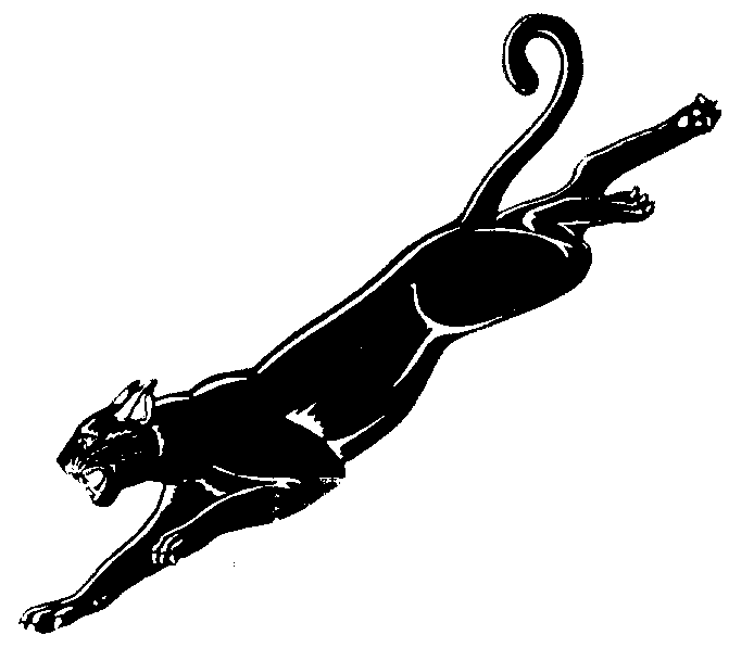 694x597 Free Panther Clipart Image