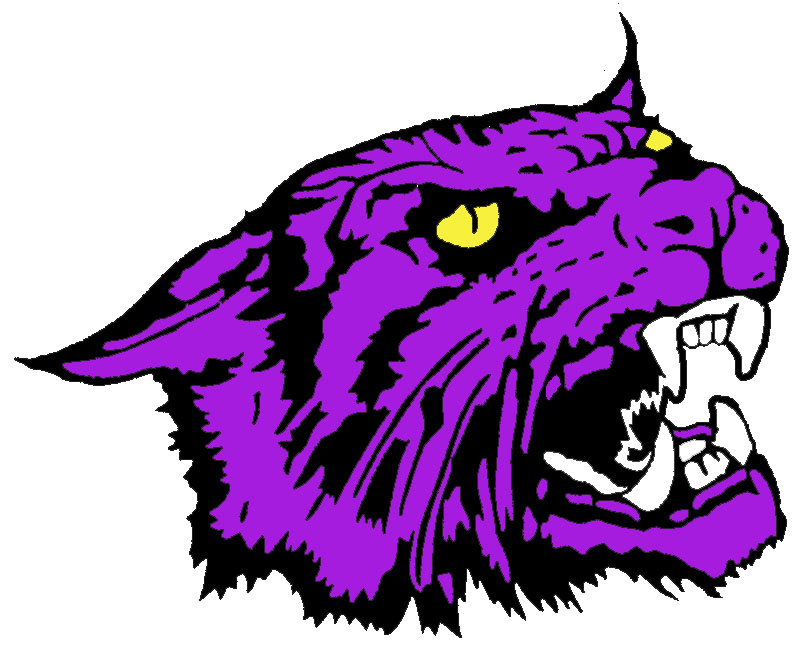 796x655 Free Wildcat Mascot Clipart