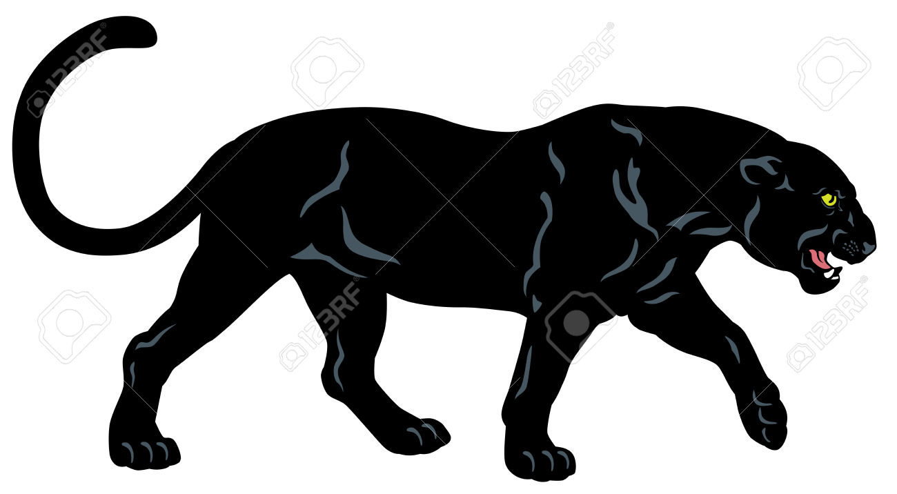 1300x716 Panther Clipart Black And White