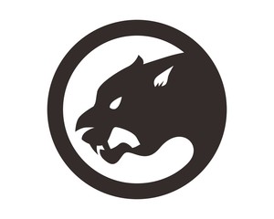 300x240 Search Photos Tiger Head