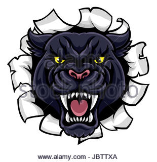 310x320 Black Panther Head Tattoo Stock Vector Art Amp Illustration, Vector