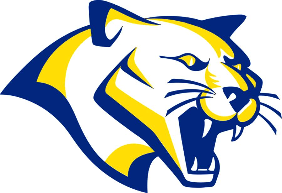 900x617 Cougar Logos Free Panther Mascot Logo Royalty Stock Image Online