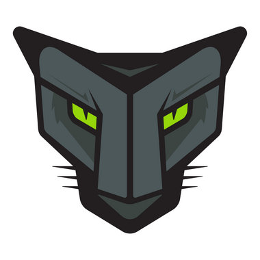 380x380 Here's The Proposed New Pelham Panthers Logo In District
