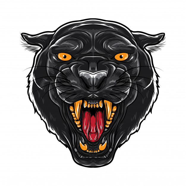 626x626 Panther Vectors, Photos And Psd Files Free Download