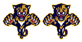 320x167 Nhl Tournament Of Logos Rebranding The Panthers