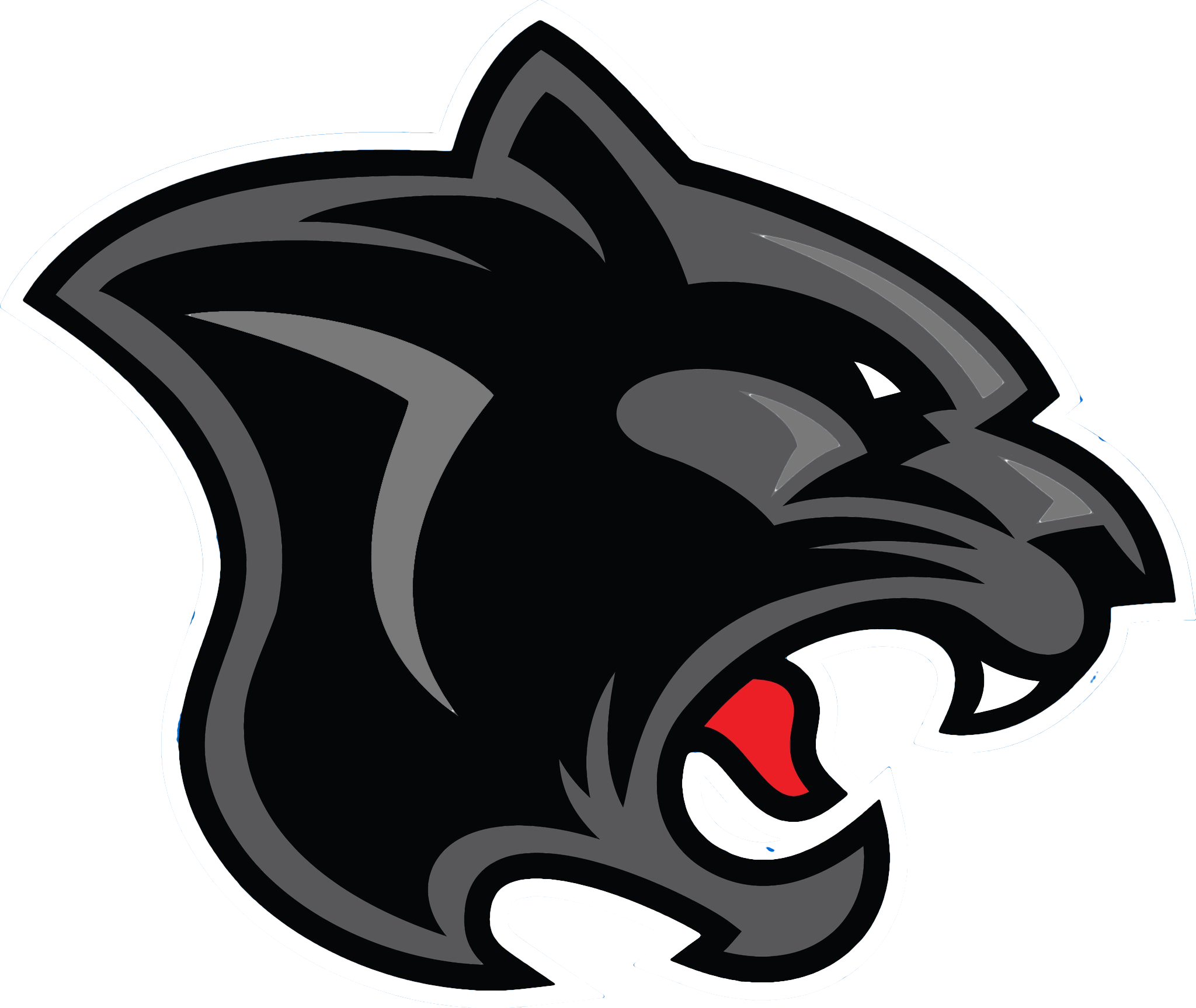 2048x1727 Panther Logo