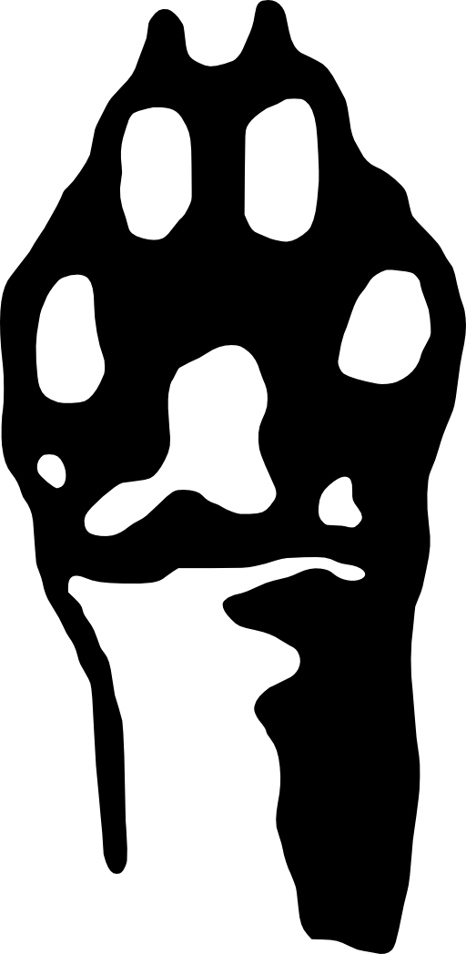 512x1048 Picture Of A Paw Print