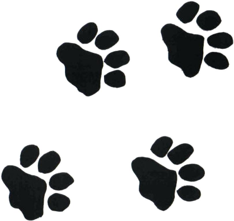 810x766 Pics Of Paw Prints