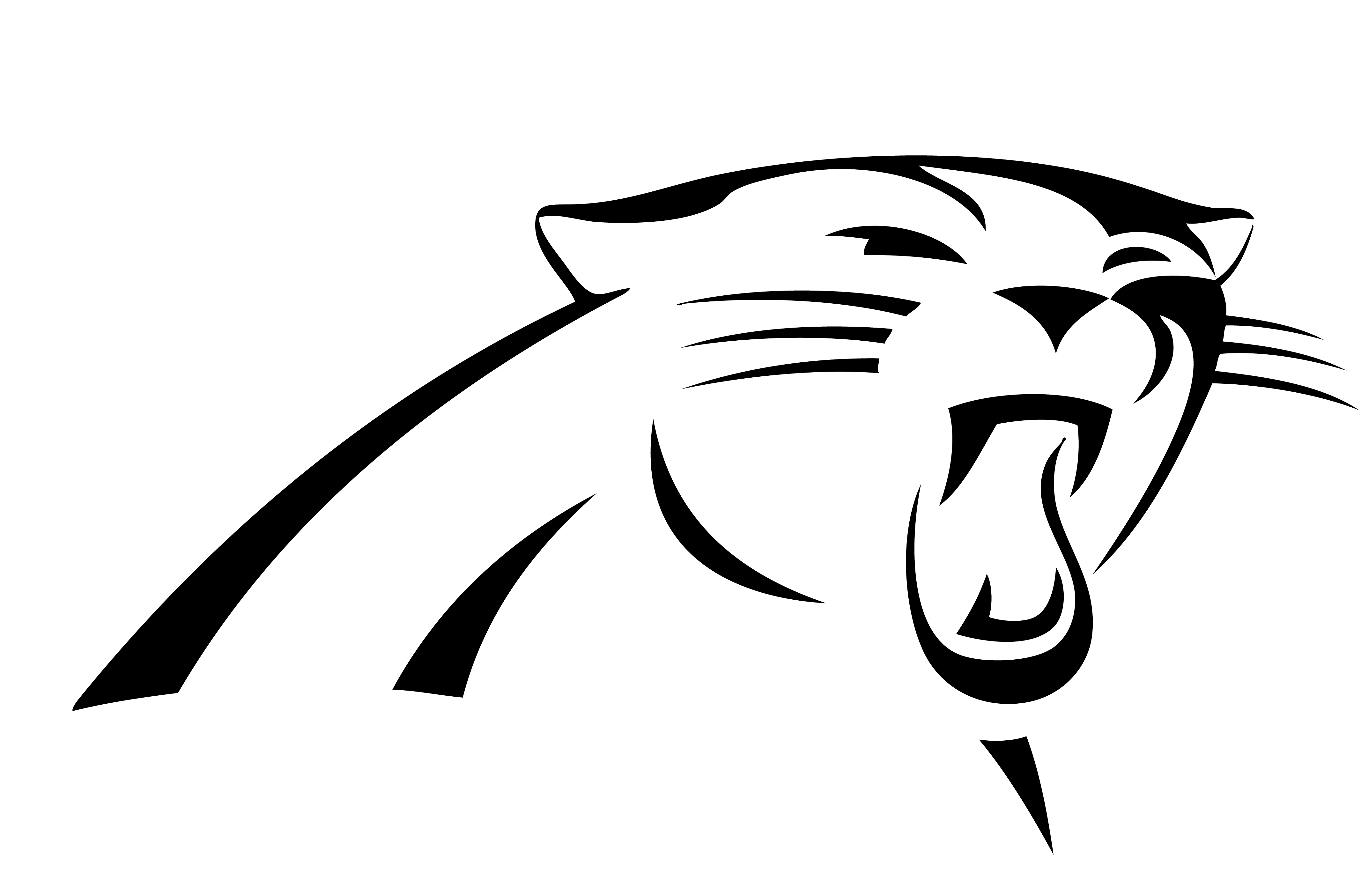 4267x2809 Panthers New Logo