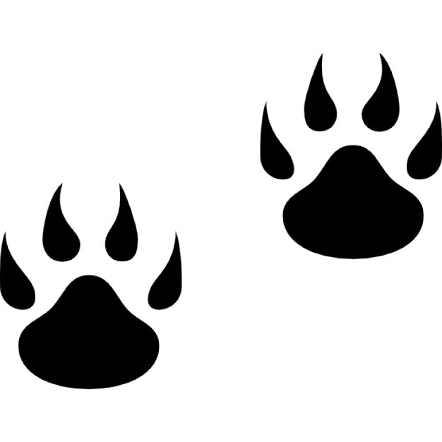 626x626 Paw Footprint Vectors, Photos And Psd Files Free Download