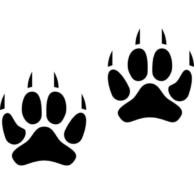 626x626 Paw Vectors, Photos And Psd Files Free Download